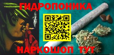 ПСИЛОЦИБИНОВЫЕ ГРИБЫ Новокубанск